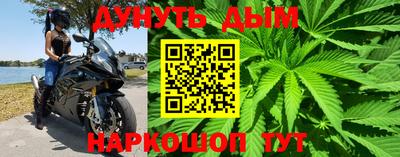 стафф Вязьма